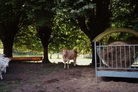 Photo réalisée au 35mm Leica adapté sur Sony