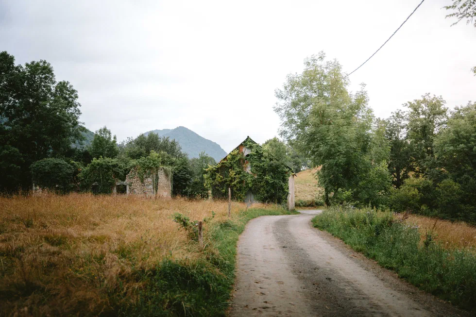 Route de campagne menant vers une bâtisse envahie de lierre