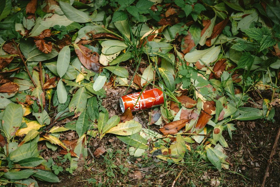 Car une balade sans croiser un produit coca cola n’est pas une vrai balade.
