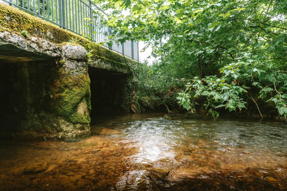 Ruisseau clair passant sous un petit pont en pierre