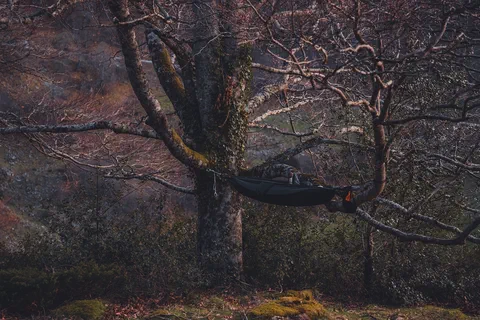 Hamac installé dans un arbre pour la nuit