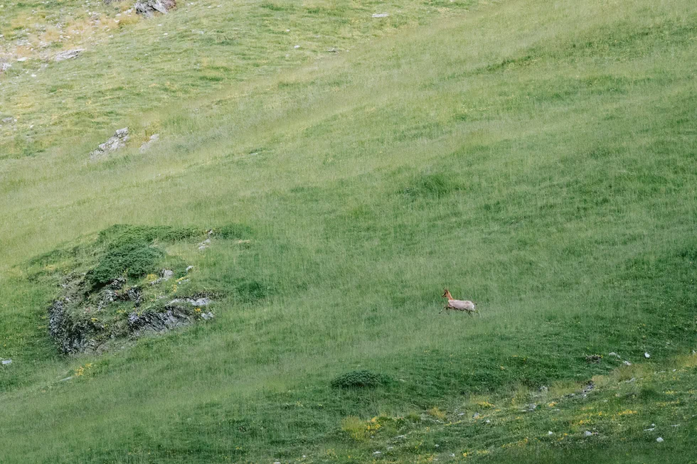 Cirque de Troumouse — photo 8