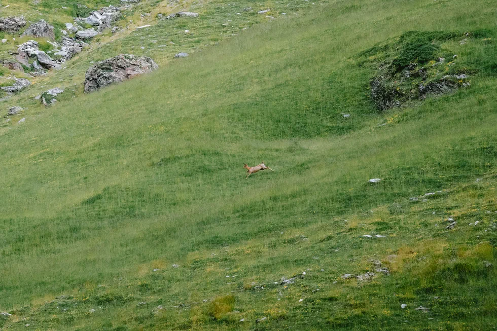 Cirque de Troumouse — photo 9