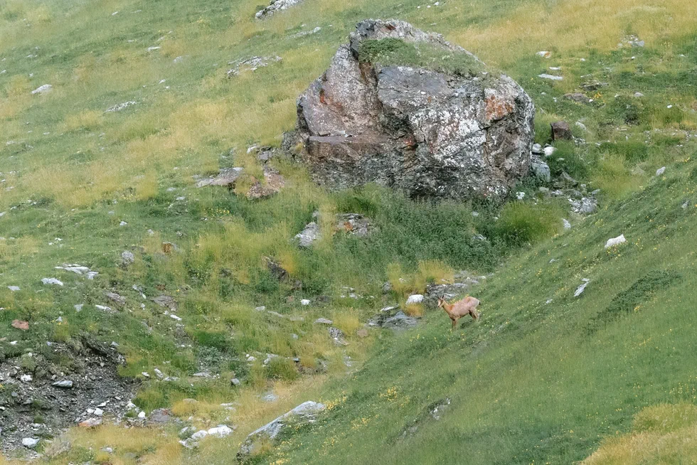 Cirque de Troumouse — photo 10