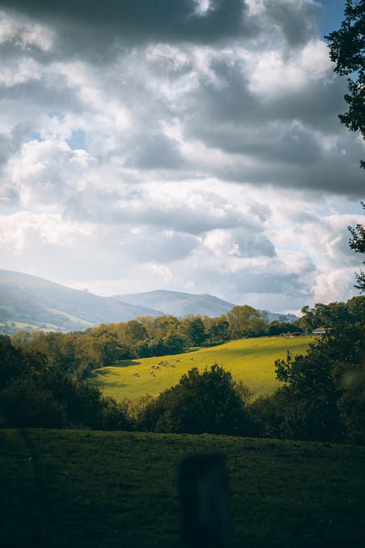 Vallee verdoyante du Pays basque en automne