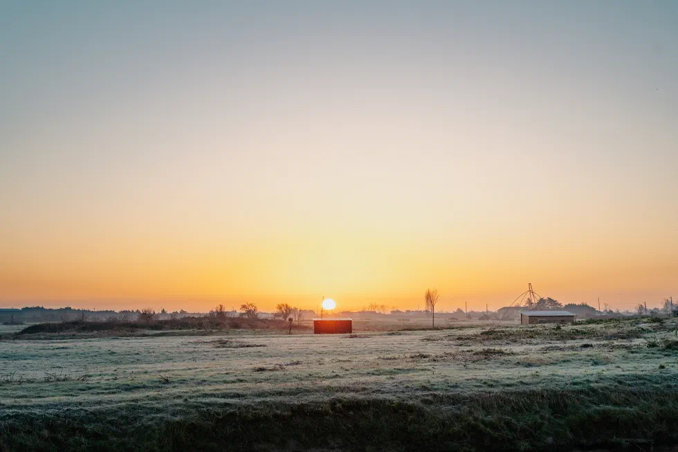 Lever de soleil sur une prairie gelée
