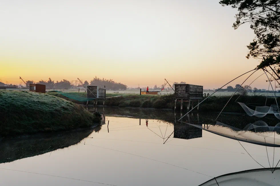 Carrelets au petit matin au bord d’un chenal