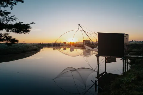 Filets de carrelets silhouettés au lever du soleil