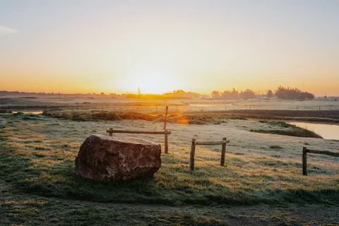 Gros rocher dans une prairie givrée au lever du soleil