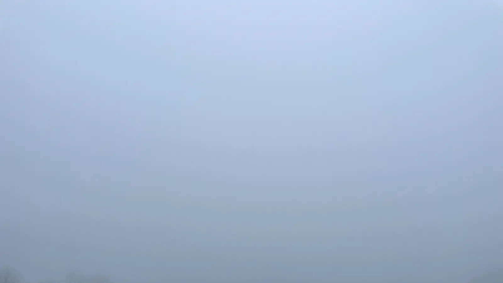 Quelques jours dans un élevage de cochon.