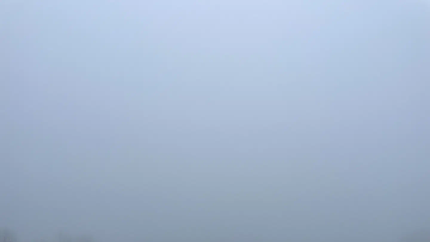 Quelques jours dans un élevage de cochon.