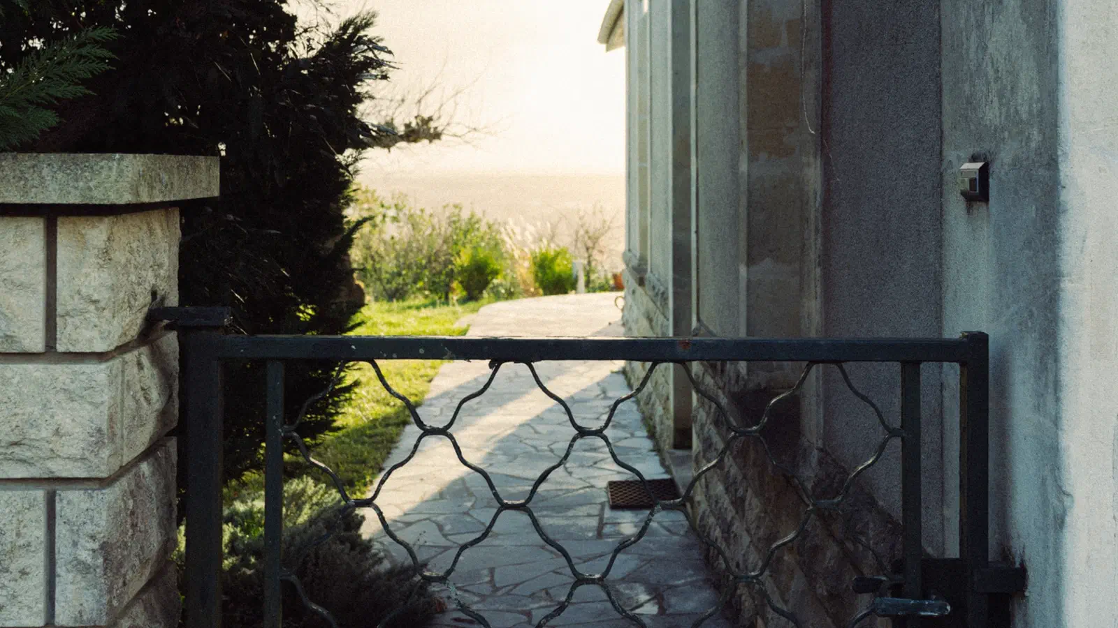 Film - Portra 800