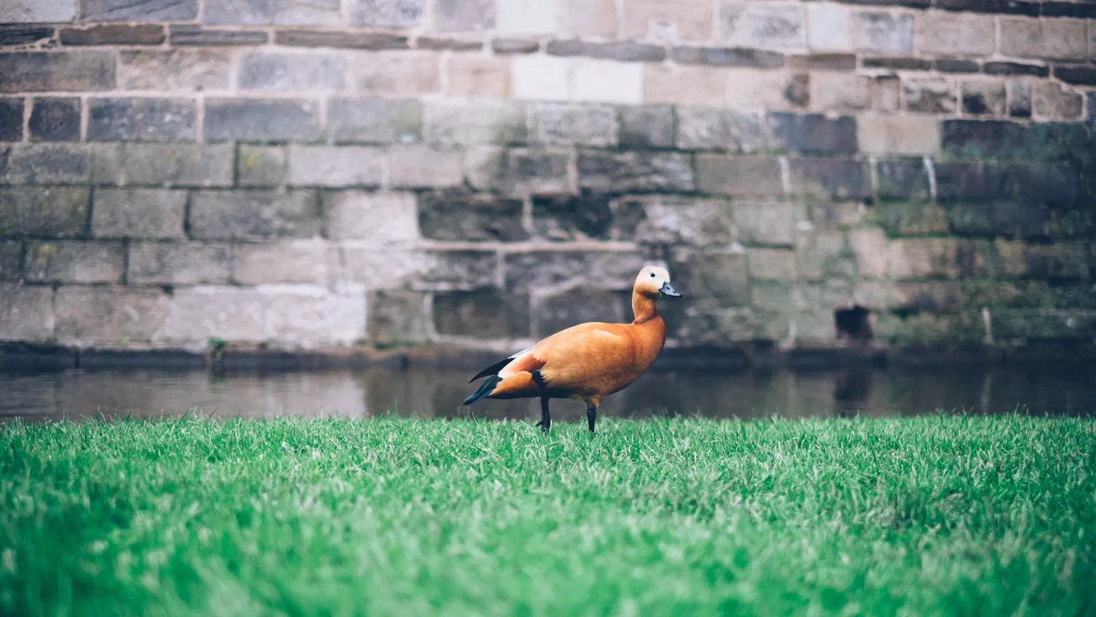 J'ai été photo du jour sur Unsplash