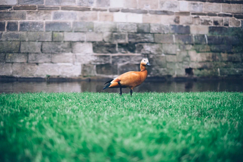Ma première photo posté sur unsplash