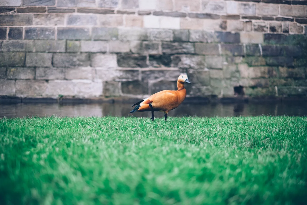 J'ai été photo du jour sur Unsplash