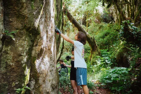 Ambiance foret et rochers a Miegebat