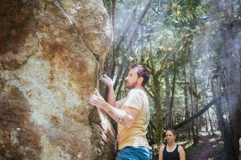 Crash pads et blocs dans les bois