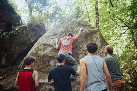 Bloc en foret dans la vallee d&rsquo;Ossau