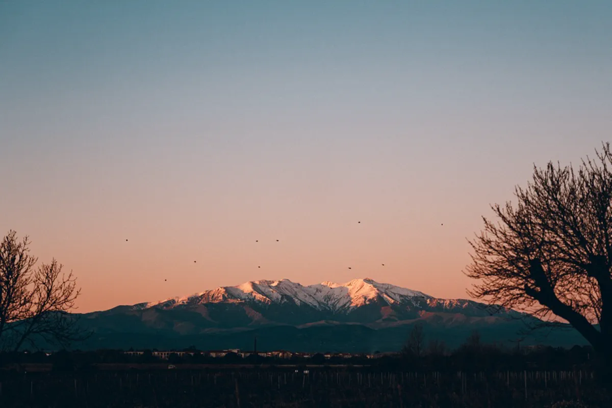Canigou