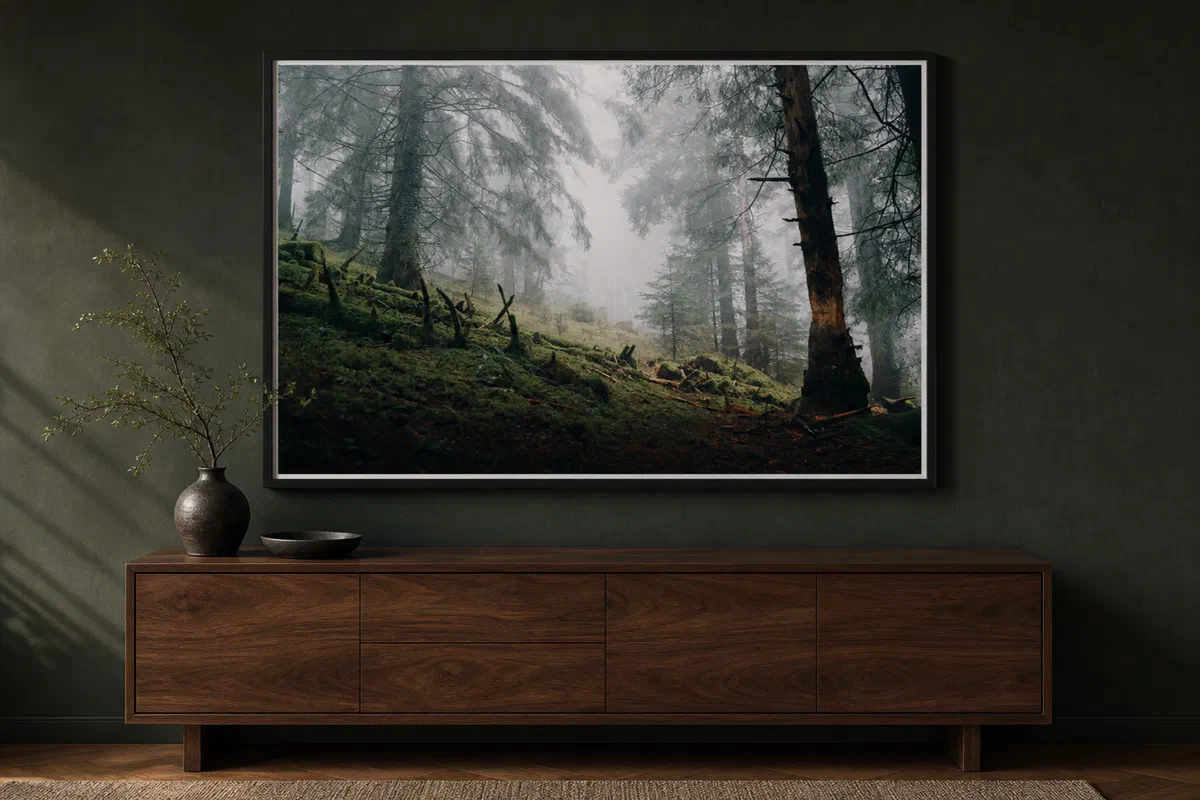 Misty Forest