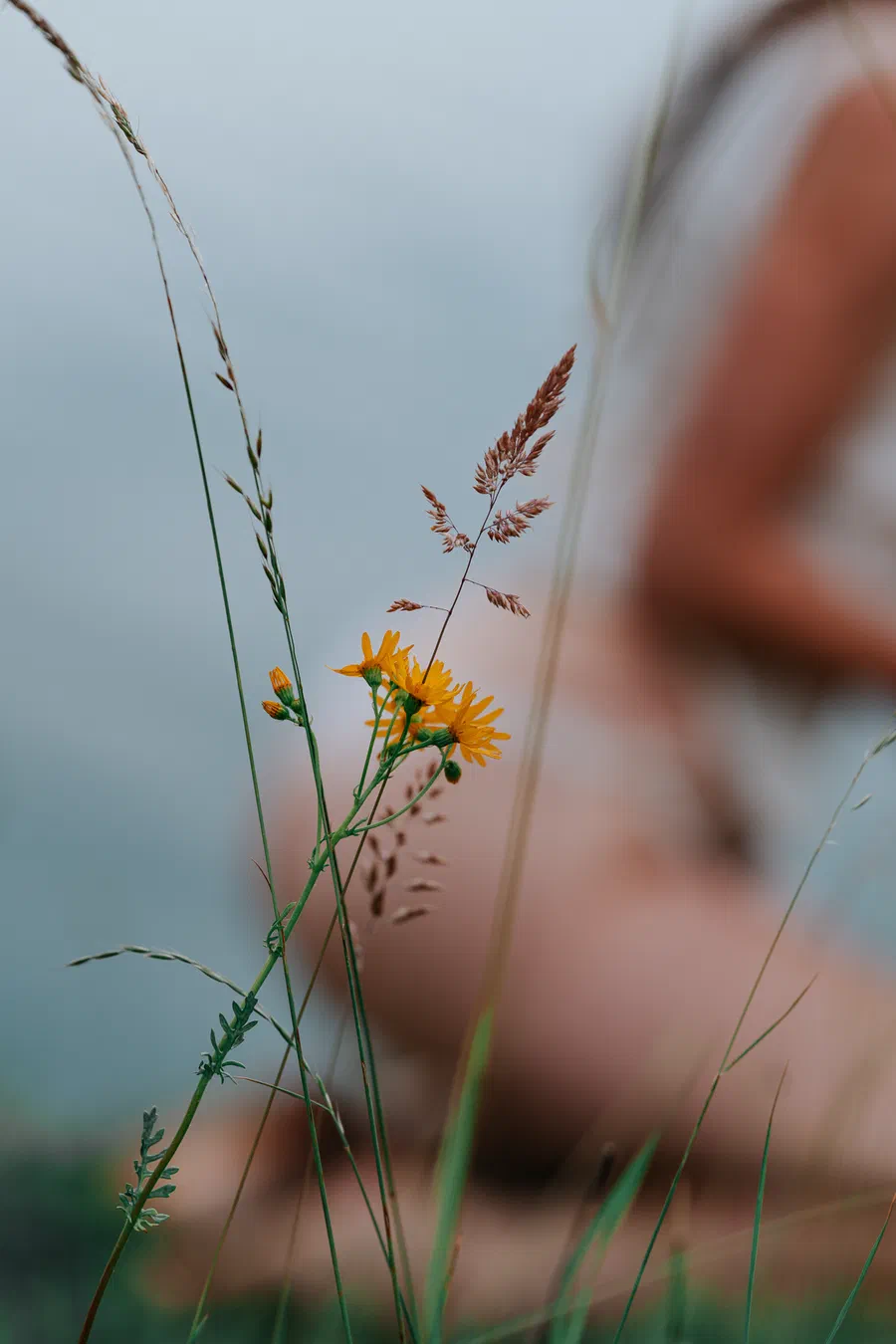 Projet Amandine Portrait - photo 30