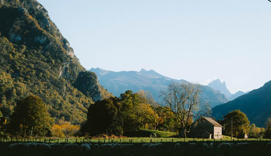 Projet Castet automne - photo 14