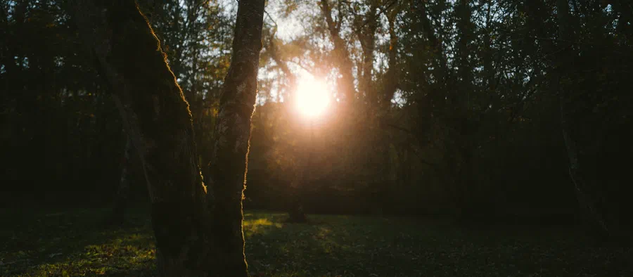 Projet Castet automne - photo 03