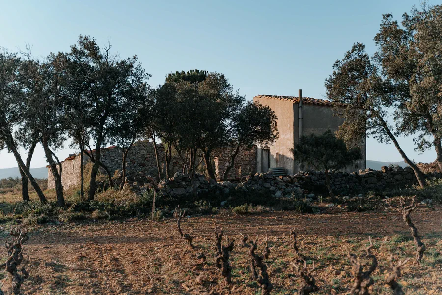 Projet Domaine Bertrand bergé - photo 63