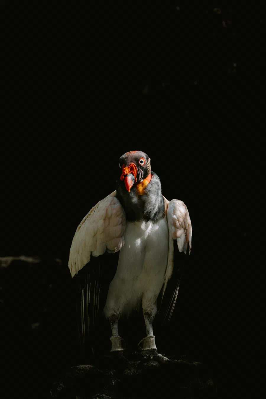 Projet Donjon des aigles Commerce - photo 101