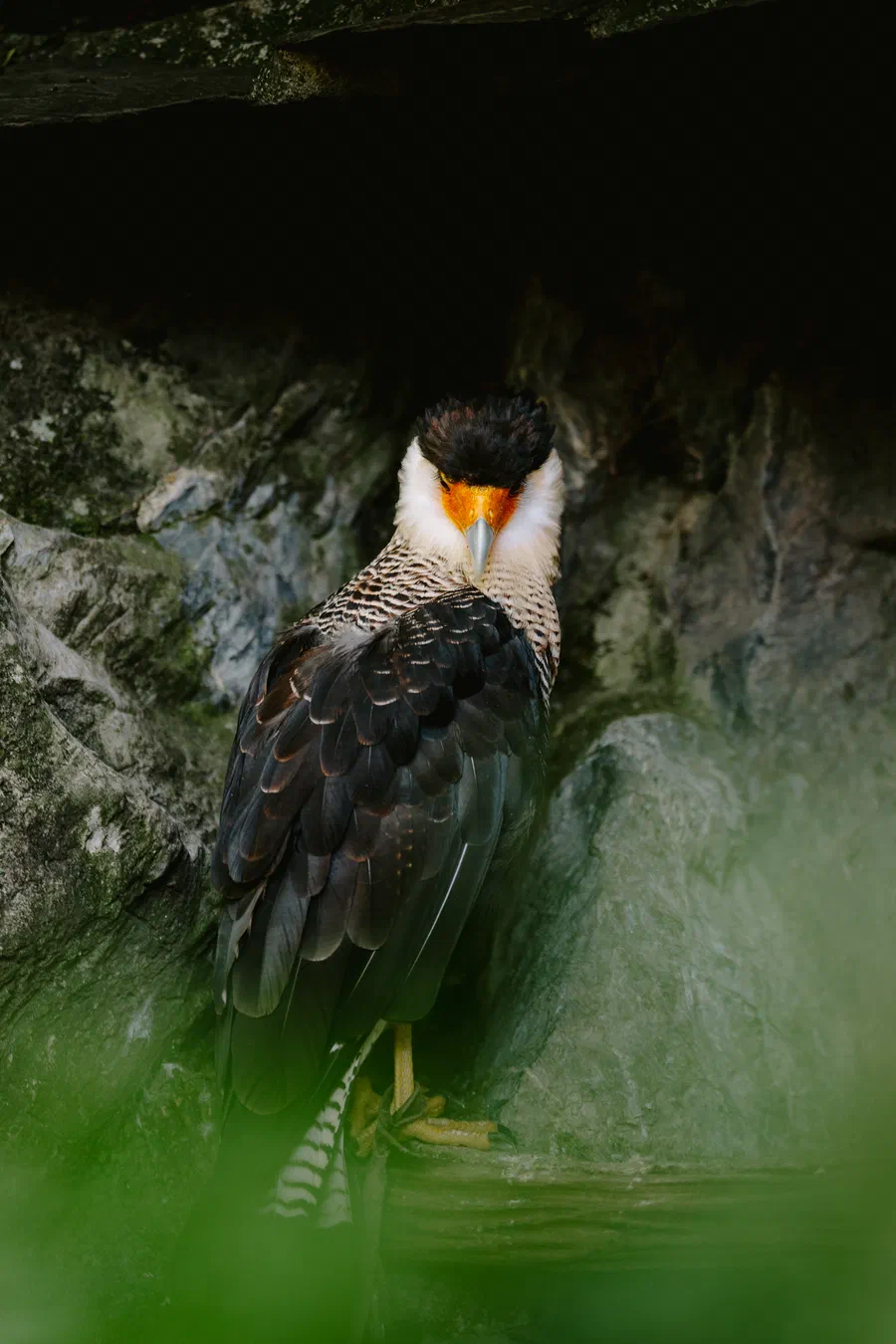 Projet Donjon des aigles Commerce - photo 65