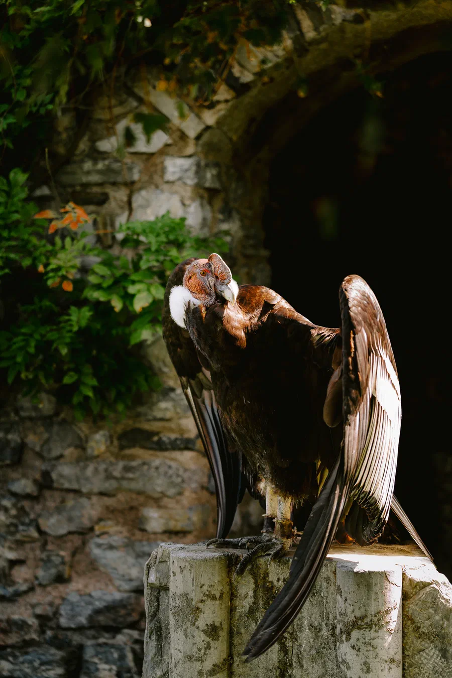 Projet Donjon des aigles Commerce - photo 58
