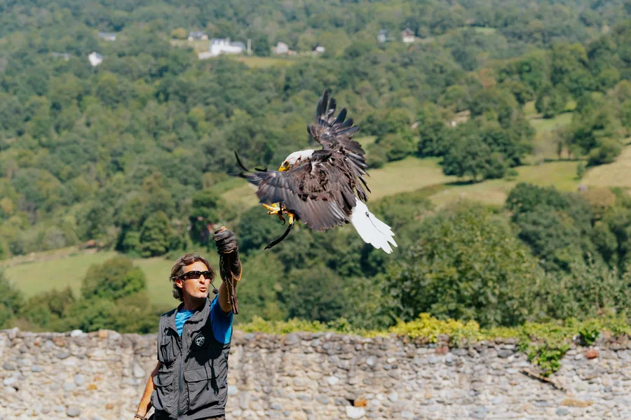 Projet Donjon des aigles Commerce - photo 44