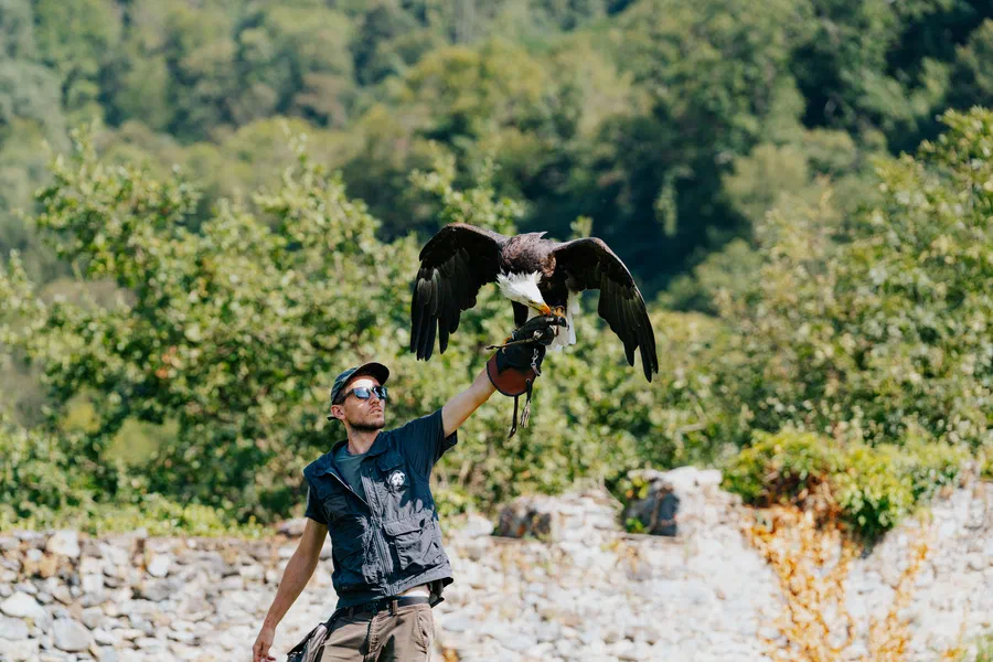 Projet Donjon des aigles Commerce - photo 43
