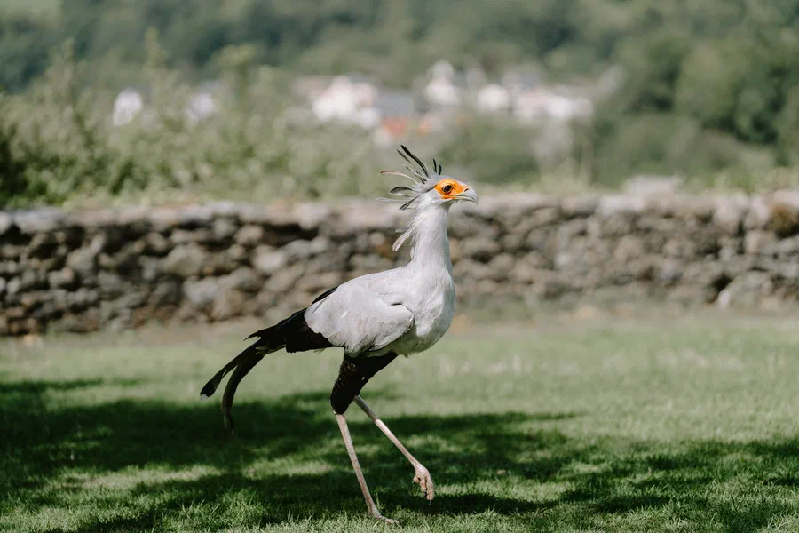 Projet Donjon des aigles Commerce - photo 33