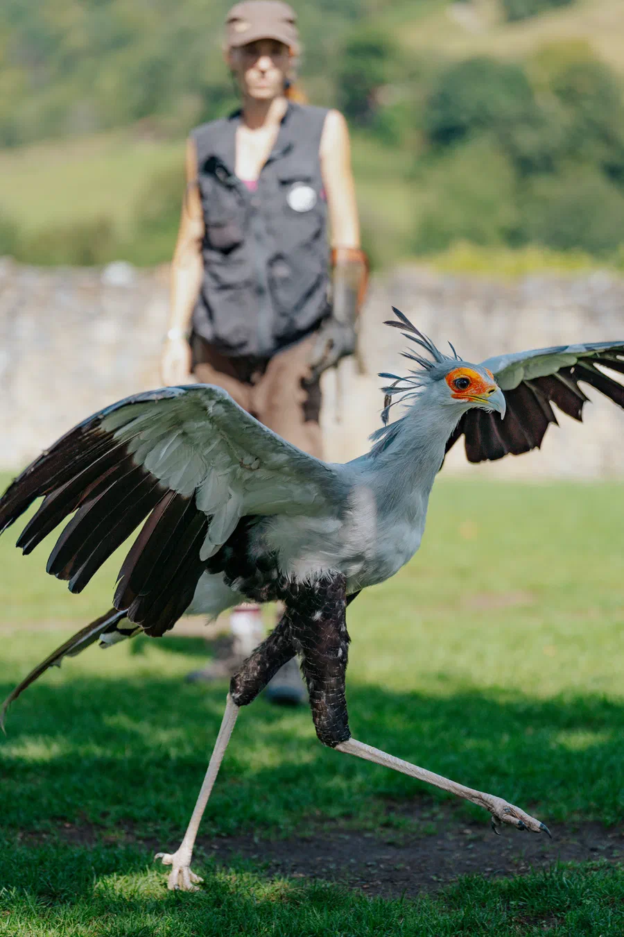 Projet Donjon des aigles Commerce - photo 31
