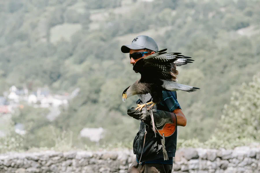 Projet Donjon des aigles Commerce - photo 25