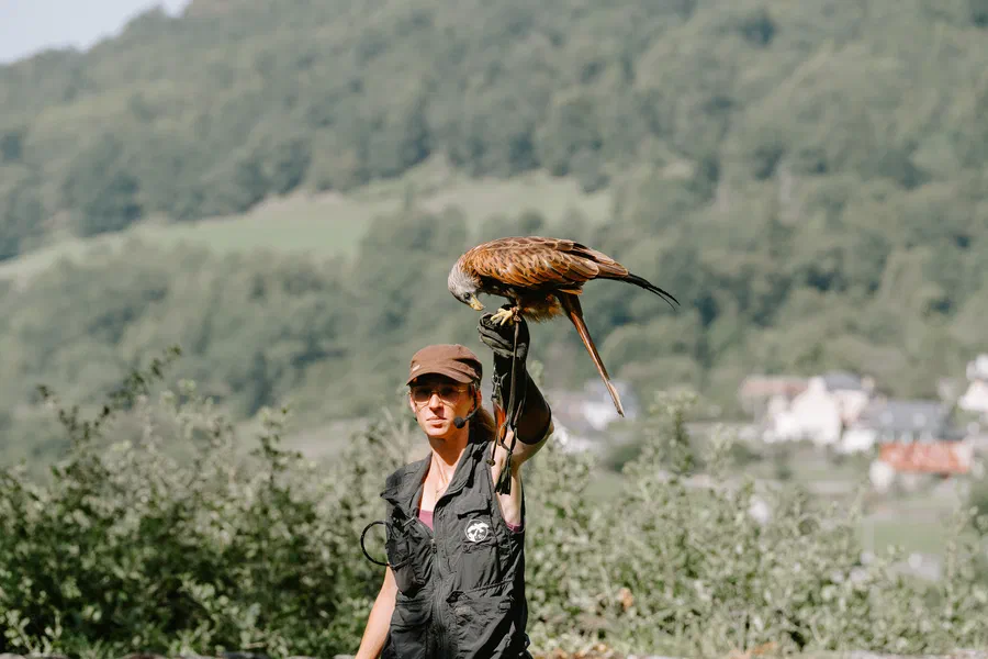 Projet Donjon des aigles Commerce - photo 24