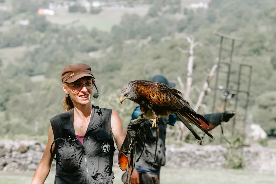 Projet Donjon des aigles Commerce - photo 100