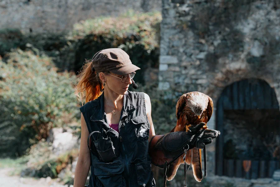 Projet Donjon des aigles Commerce - photo 19