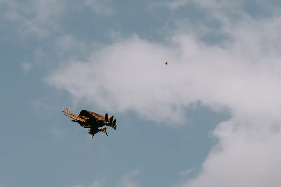 Projet Donjon des aigles Commerce - photo 106