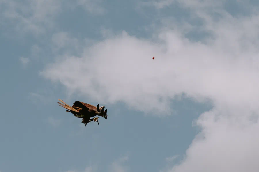 Projet Donjon des aigles Commerce - photo 15