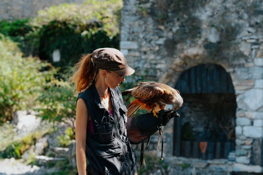 Projet Donjon des aigles Commerce - photo 12