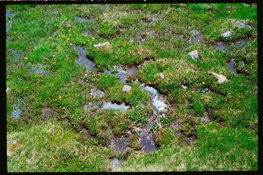 Projet Film Leica m6 - photo 20