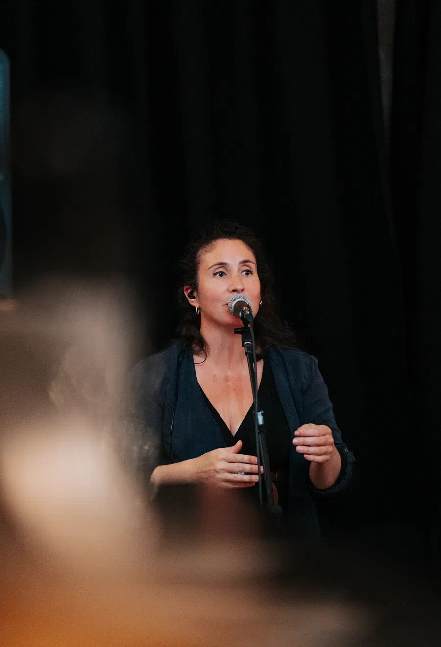Projet L'eveil des puys Concert - photo 52