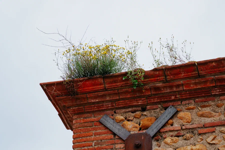 Projet Mas Alart - photo 403