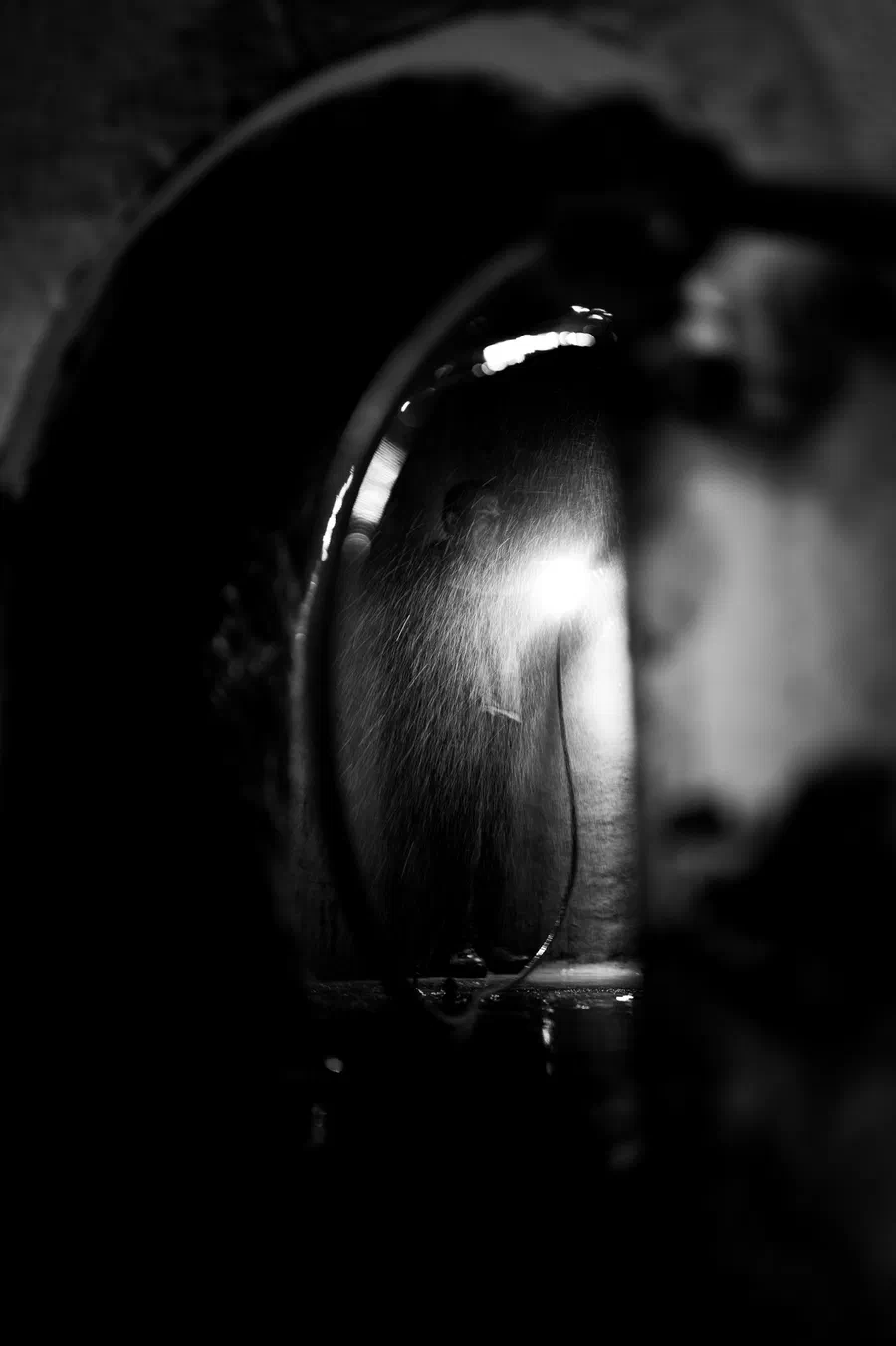Projet Mas Alart - photo 152