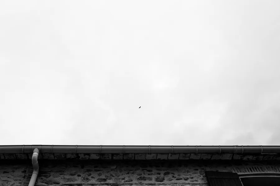 Projet Mas Alart - photo 223