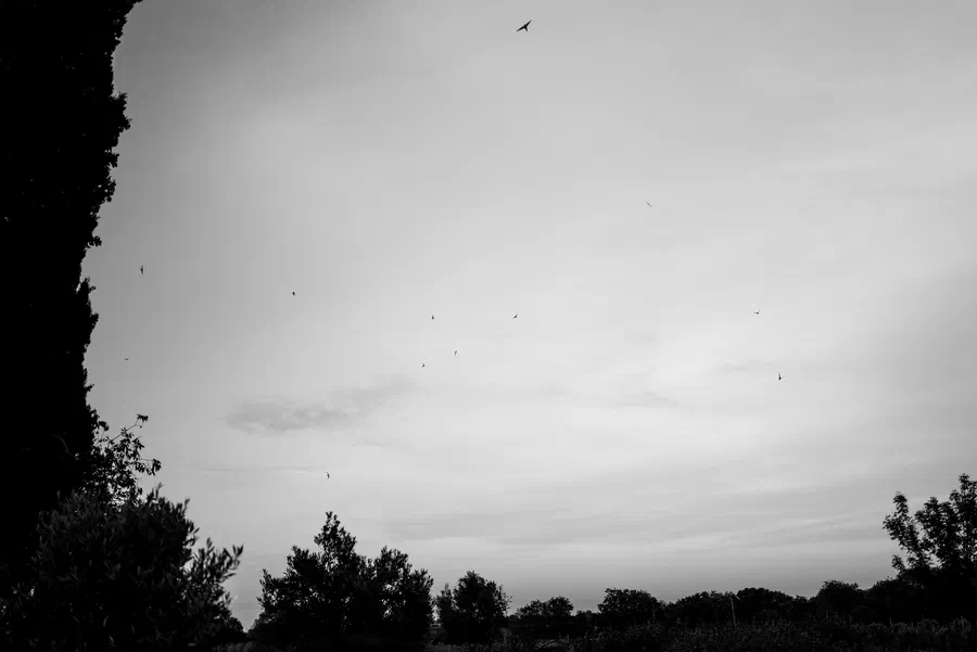 Projet Mas Alart - photo 53