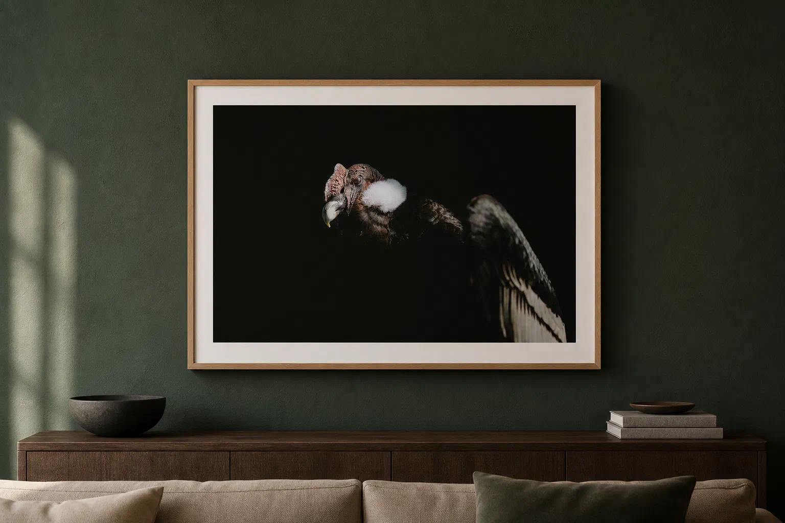 Condor des Andes I présenté dans un cadre en chêne sur un mur vert sombre