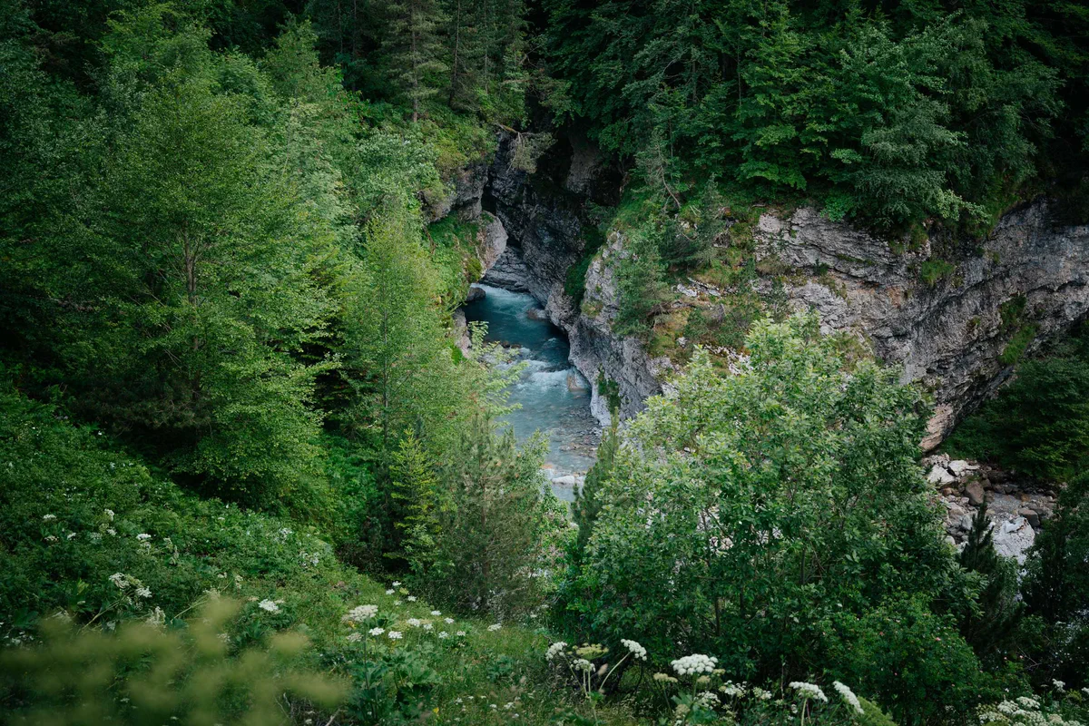 Gorge turquoise en forêt à Gavarnie